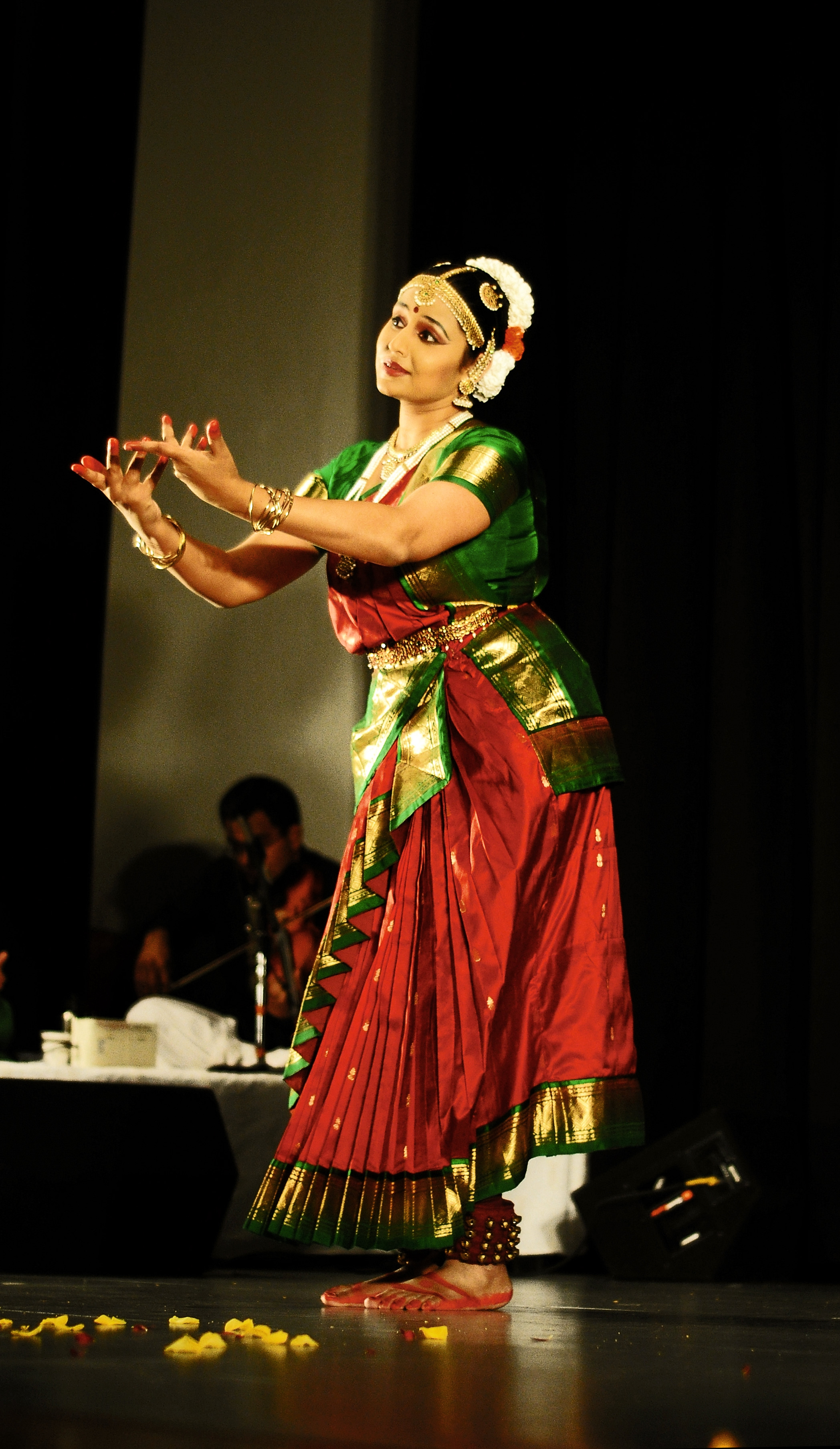 Veena Arun